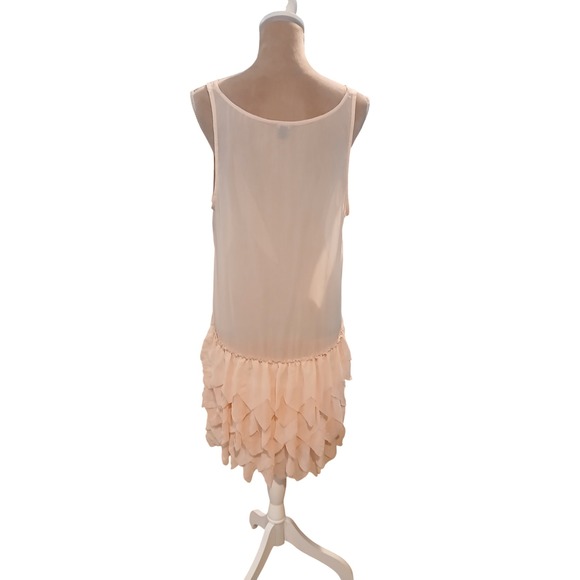 Aerie Sleeveless Drop Waist Ruffle Petal Dress Tank Peach Pink Medium Fairy Mesh - Picture 5 of 12